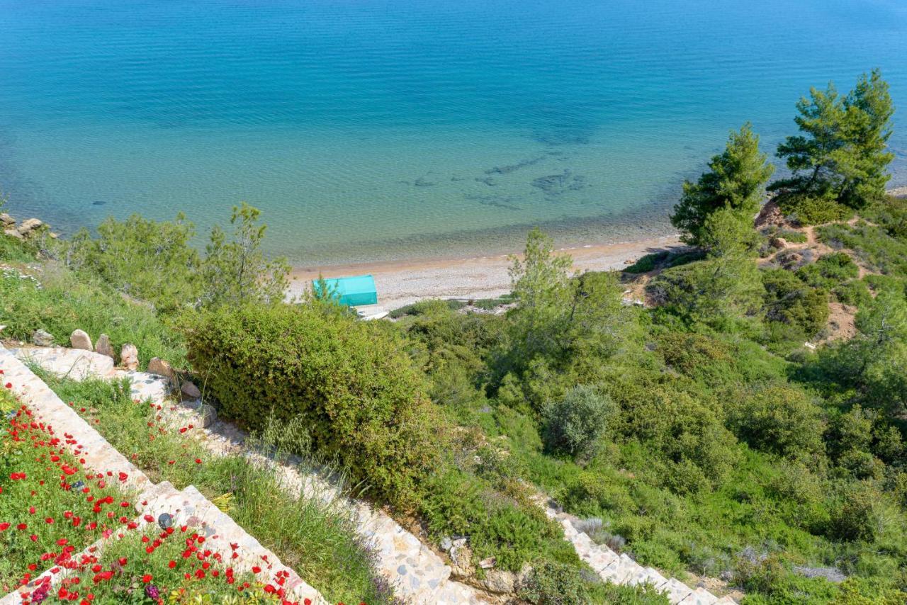 Crystal Beach Villa Chalkís المظهر الخارجي الصورة